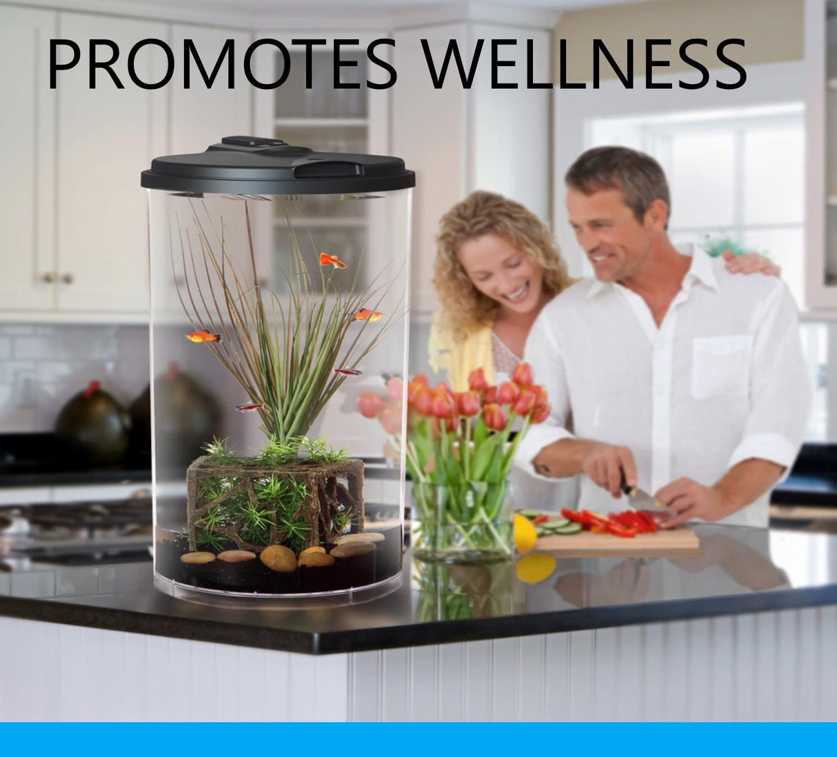 Koller Products Plastic 6-Gallon AquaView 360 Aquarium Kit for Tropical Fish, Betta Fish with LED Lighting and Power Filter Clear, 4-Piece Set Koller Products