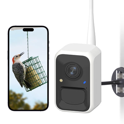 NETVUE by Birdfy Smart Bird Feeder Camera, Adjustable Brackets, Auto Bird Video Capture, Instant Notifications, AI Identify 6000+ Species