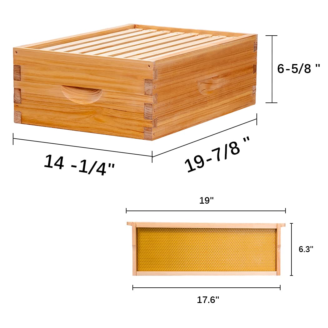 8-Frame Beehive Box Langstroth Medium Super Bee Box for Sale Wax Coated Bee Hives Includes Wooden Frames & Waxed Foundations (Unassembled) MayBee