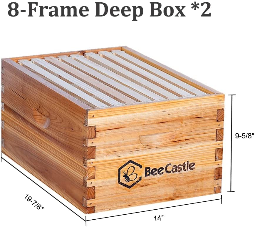 BeeCastle 8 Frame Langstroth Bee Hive Coated with 100% Beeswax Includes Beehive Frames and Waxed Foundations (2 Deep Boxes & 2 Medium Boxes) BeeCastle