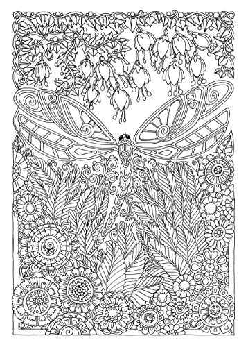 Creative Haven Entangled Dragonflies Coloring Book (Adult Coloring Books: Insects) Dover Publications