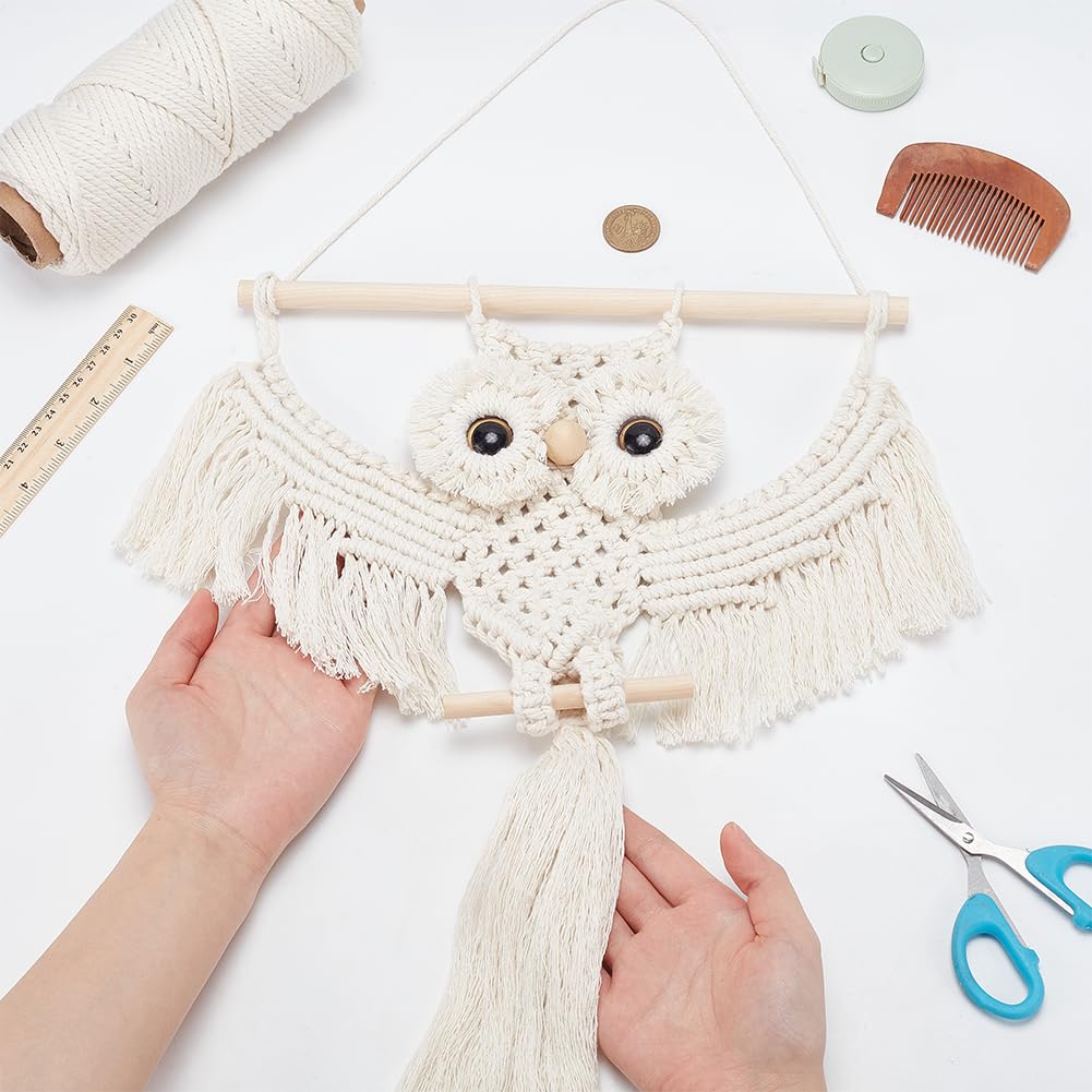 ACRNIGHEET DIY Owl Macrame Kit with Instruction - Handmade White Owl Hanging Ornament Boho Hand Woven Macrame Making Kit for Home Decor ACRNIGHEET