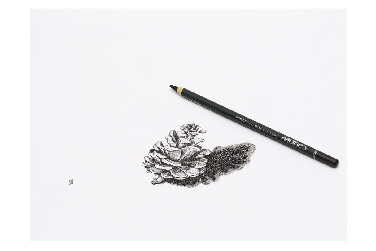 Marie's Artist Charcoal Pencil 12 Piece Set, Extra-Soft Black Paper Handle Charcoal Pencils for Drawing and Sketching Marie's