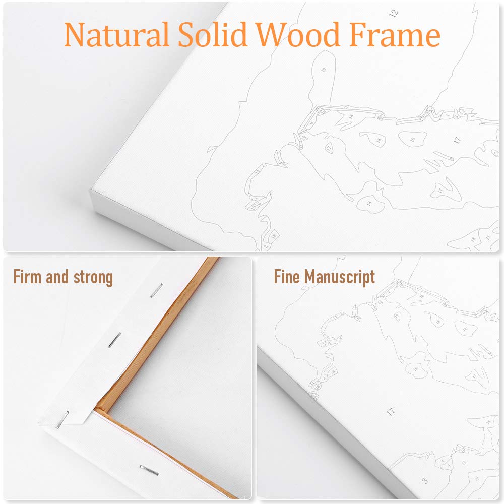 Ginkko Paint by Numbers Kit for Adults Beginner & Kids Ages 8-12 with Wooden Frame Easy Acrylic on Canvas 12x16 inch with Paints and Brushes, Mountain Sunset(Include Framed) Ginkko