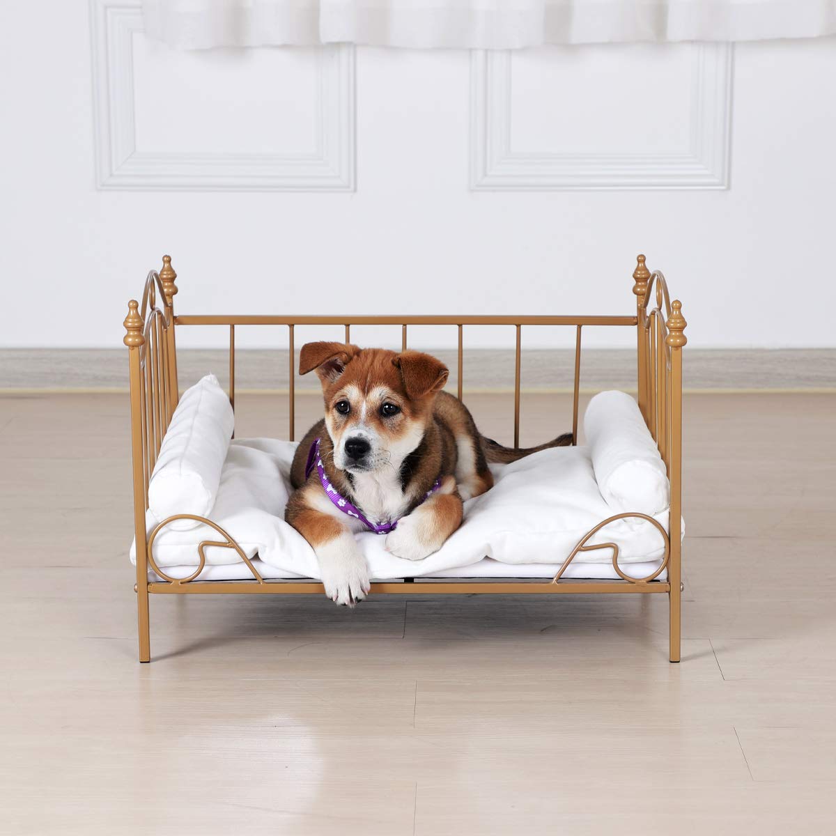 Pet Bed, Dog Bed with Metal Frame and Detached White Velvet Cushion with 2 Pillow for Small Dog Babyland