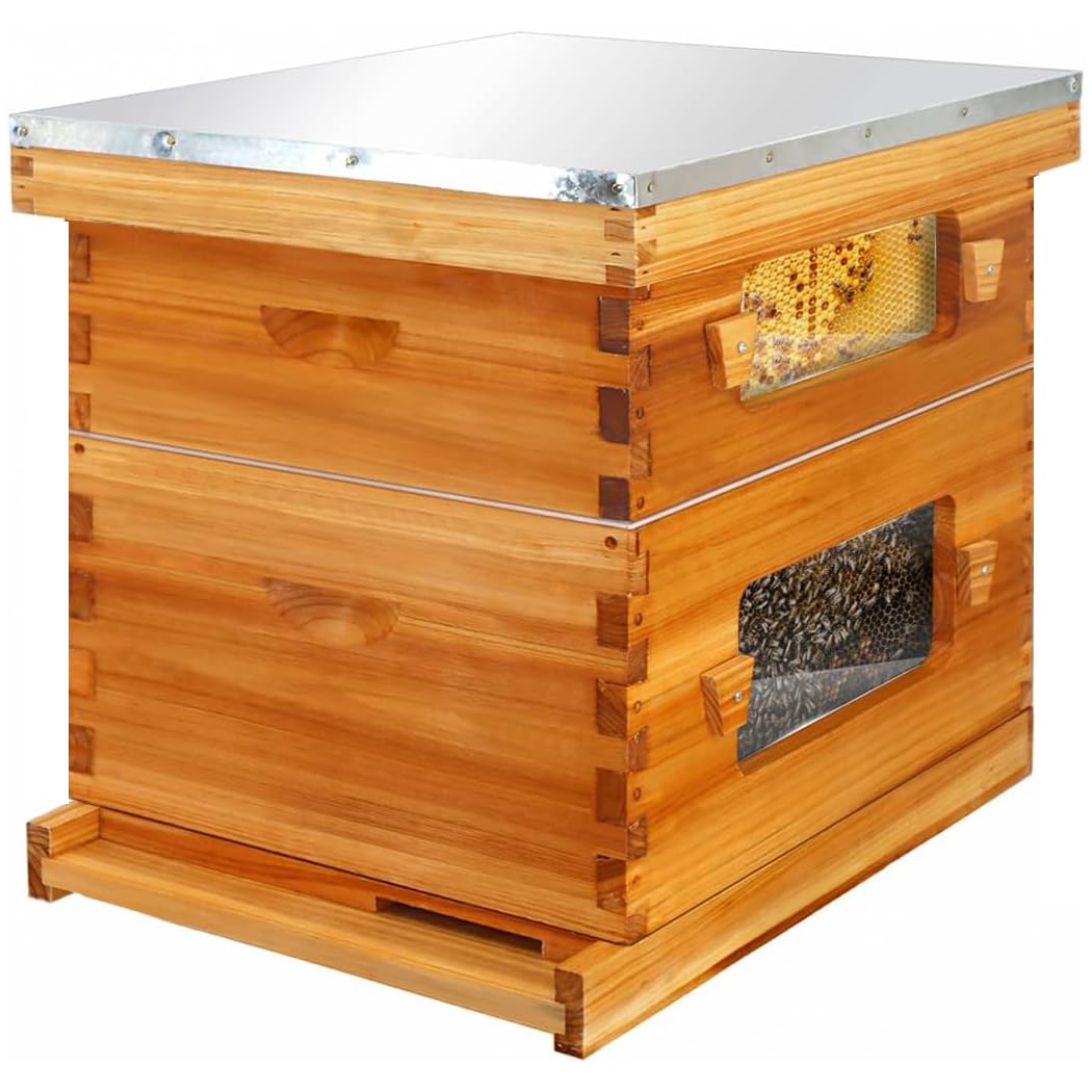 Honey Lake 10 Frame Bee Hive, Langstroth Complete Beehive Kit with Windows Dipped in 100% Beeswax with Beehive Frames and Waxed Foundations (1 Deep Brood Bee Hive Box & 1 Medium Super Bee Box) Honey Lake