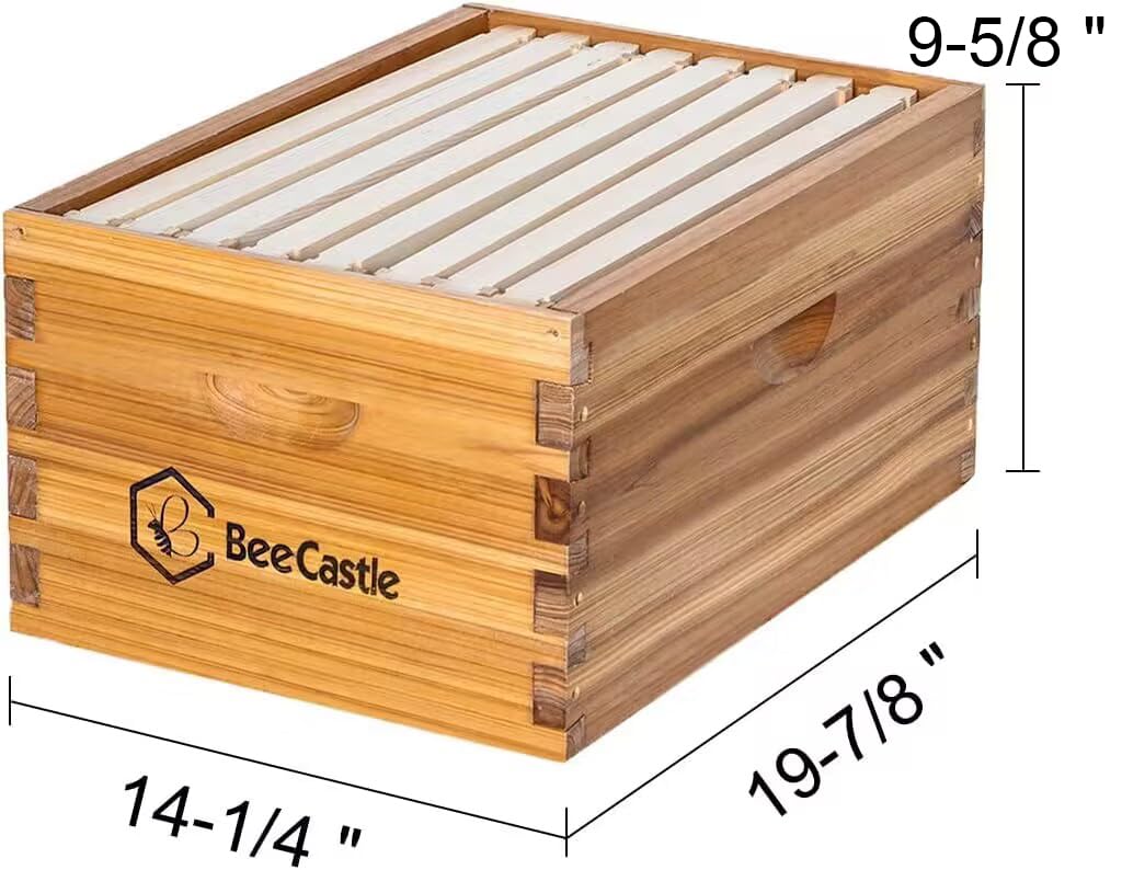 BeeCastle Heavy Wax Coated Langstroth Unassembled Deep/Brood Box with Frames and Beeswax Coated Foundation Sheet (8 Frame) BeeCastle