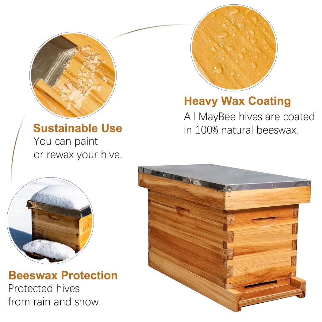 MayBee 5-Frame Nuc Beehive for Bees Complete Bee Hive Box Kit with Metal Roof Includes Wooden Frames & Waxed Foundations for Langstroth Beekeeping MayBee