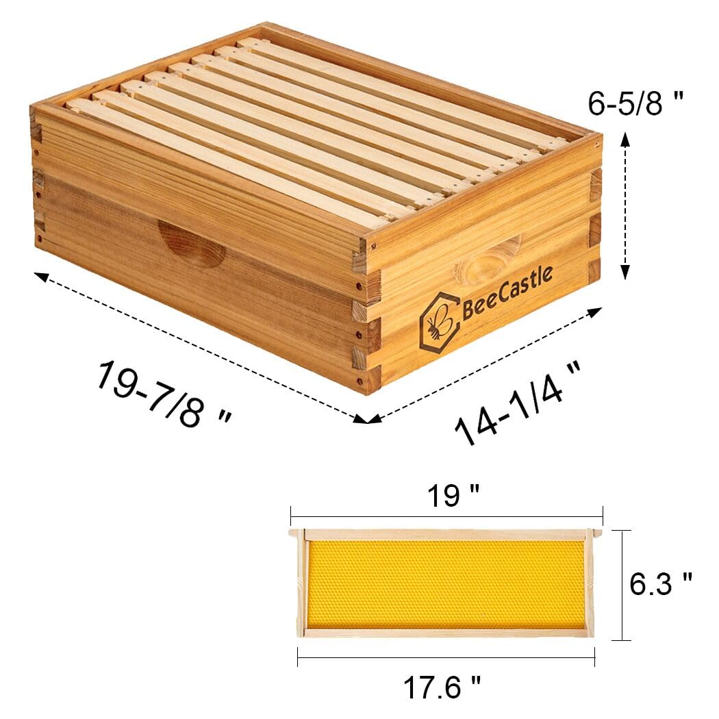 BeeCastle 8 Frame Medium Super Bee Hive Box, Langstroth Honey Bee Hive Dipped in 100% Beeswax Include Beehive Frames and Wax Foundations (Unassembled) BeeCastle