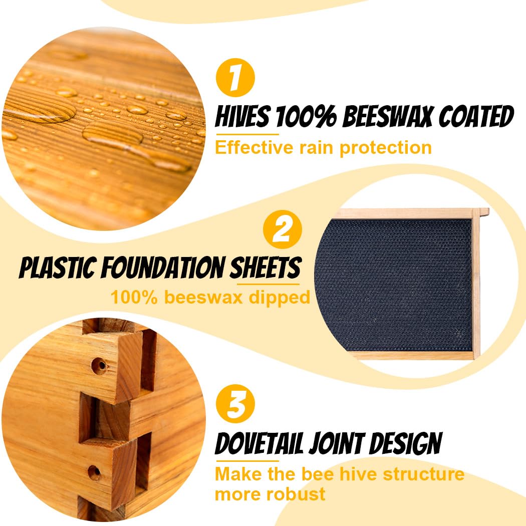 Honey Lake 10 Frame Bee Hive Box, Langstoth Deep Brood Bee Box Dipped in 100% Beeswax Includes Beehive Frames and Waxed Foundations, Beehive Box for Beginner Beekeeper (Unassembled) Honey Lake