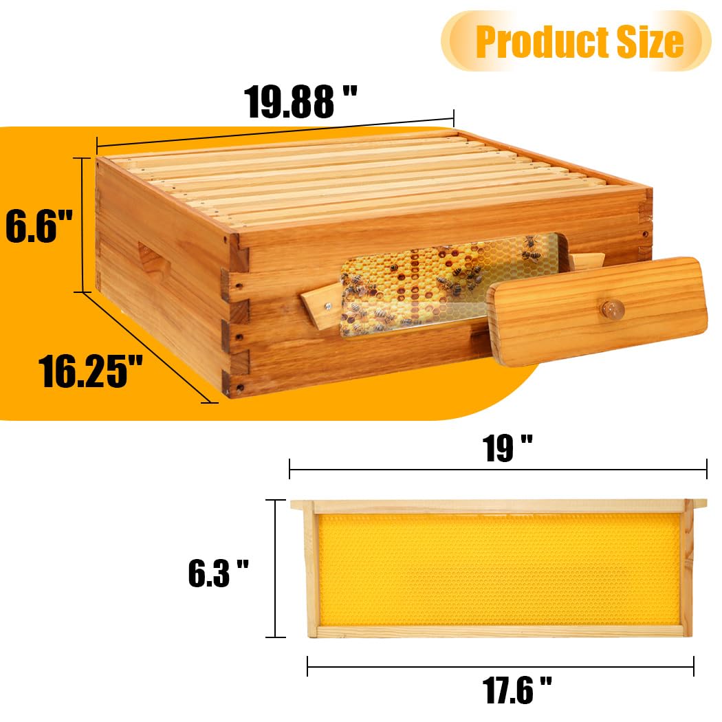 Honey Lake 10 Frame Bee Hive, Langstroth Complete Beehive Kit with Windows Dipped in 100% Beeswax with Beehive Frames and Waxed Foundations (1 Deep Brood Bee Hive Box & 1 Medium Super Bee Box) Honey Lake