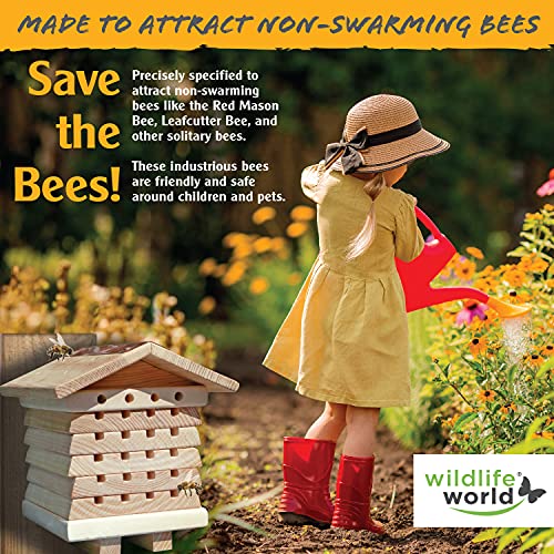 Wildlife World Interactive Wooden Bee House - Pollinator Bee Management System Wildlife World