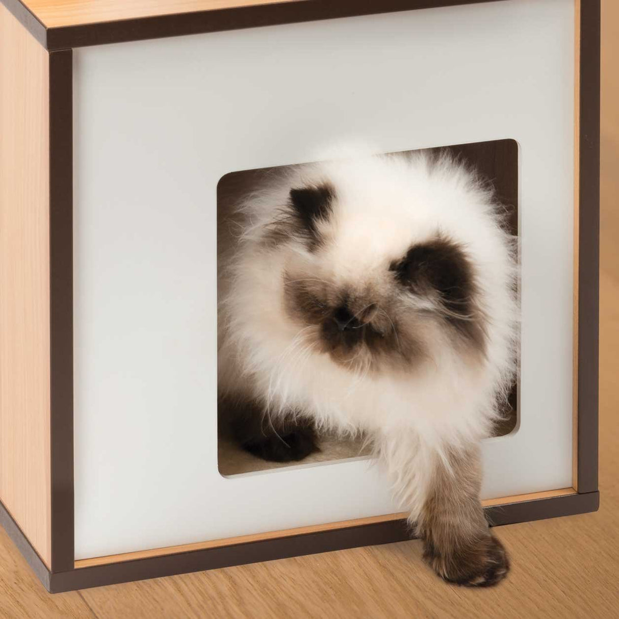 Vesper Cat Tree, Cat Box, Small, Walnut, 52075 VESPER