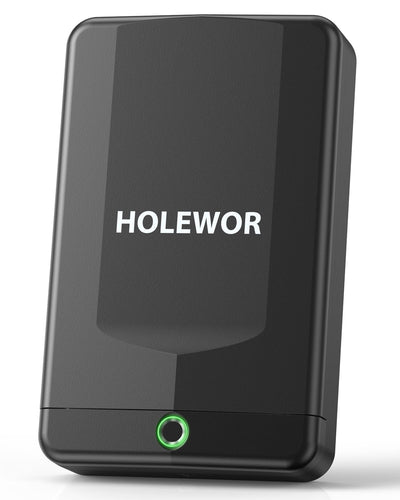 HOLEWOR Gun Safe, Small Pistol Safe Biometric Gun Safes for Handgun, Fingerprint Quick Access Handgun Safe Portable Gun Safe for Cars Travel Nightstand Bedside