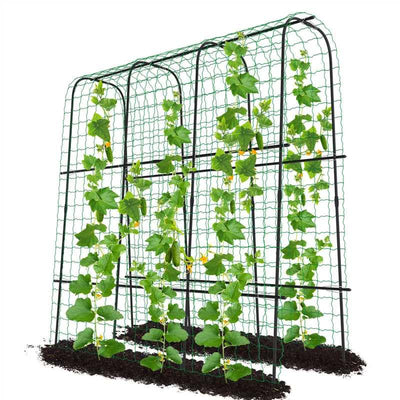 DoCred Tall Garden Arch Trellis Cucumber Trellis for Climbing Plants, 71in Tall Metal Plant Support Trellis for Climbing Vine Vegetable/Fruit/Flower Outdoor Yard Lawn Garden Arch Tunnel Trellis