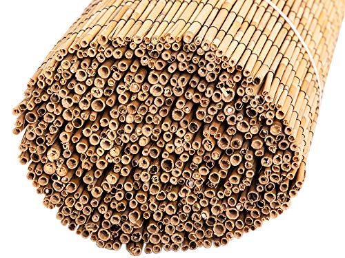 FOREVER BAMBOO Jumbo Reed Bamboo Screen Fencing Privacy Fence Backyard Divider Decorative Reed Garden Fencing, Natural 6 ft H x 16 ft L FOREVER BAMBOO
