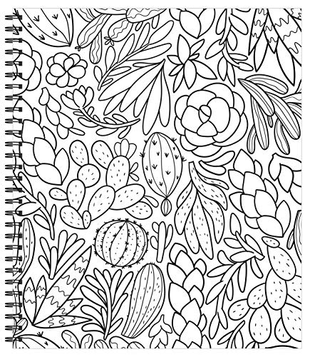 Large Print Easy Color & Frame - Stress Free (Adult Coloring Book) New Seasons