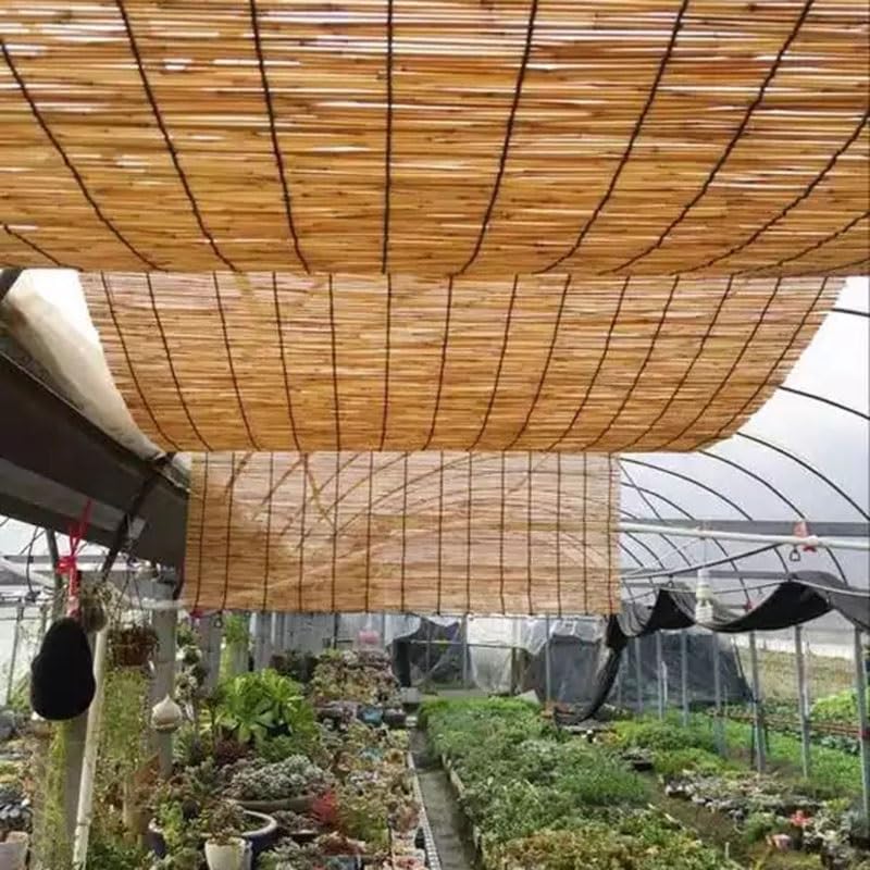 Reed Fencing Rolls for Balcony, Brown Bamboo Fence Reed Privacy Screen 1.6' 2' 3' 4' 5' 6' High Outdoor Patio Balcony Backyard Railing (Size : 3'H x16'L) YPINKZ