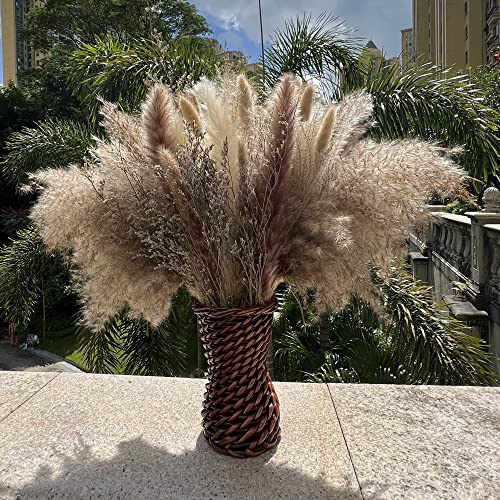 100Pcs Pampas Grass Boho Home Decor 17 inch Natural Dried Flowers-Pampas Grass Contains Bunny Tails White Pampas Brown Pampas.Boho Decor for Farmhouse Wedding Boho Wall Bathroom Office Kitchen… CZCTLUL