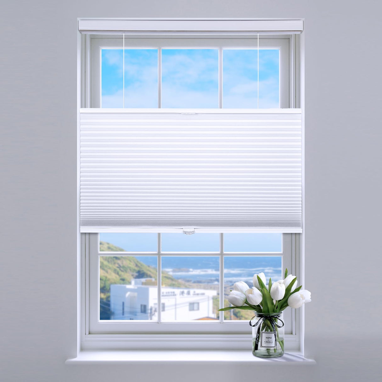 SUNFREE Top Down Bottom Up Cellular Blinds,Cellular Shades Blackout, Honeycomb Window Shade for Windows, 33" W x 64" H, White(Blackout) SUNFREE