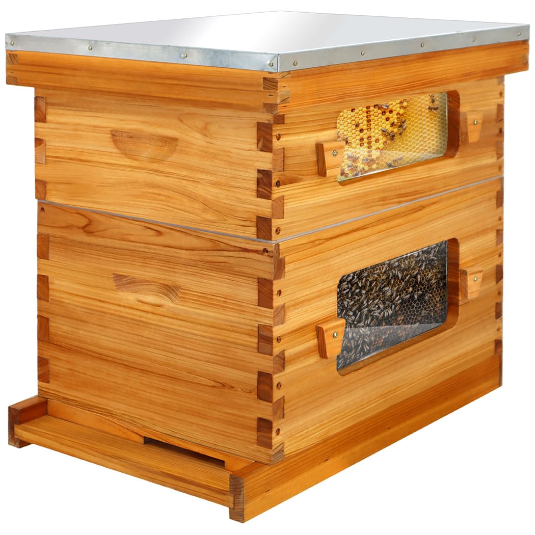 Honey Lake Bee Hive with Windows, 8 Frame Langstroth Complete Beehive Starter Kit Dipped in 100% Beeswax with Beehive Frames and Waxed Foundations (1 Deep Brood Bee Hive Box & 1 Medium Super Bee Box) Honey Lake