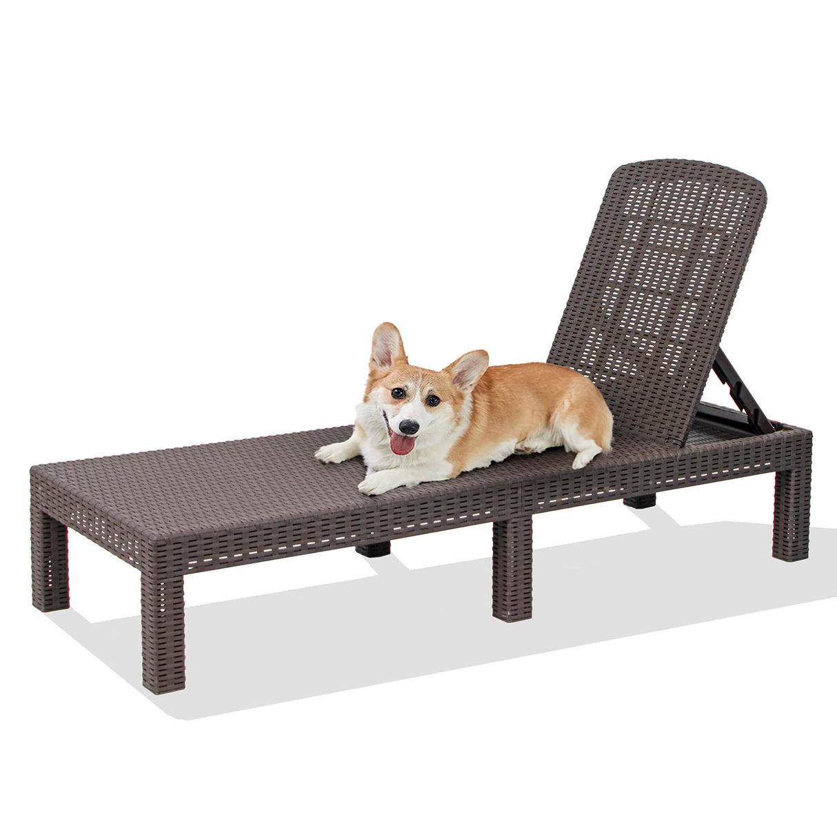 DIMAR GARDEN Outdoor Chaise Lounge,Resin Pool Lounge Chair Waterproof Recliner,Mocha DIMAR GARDEN