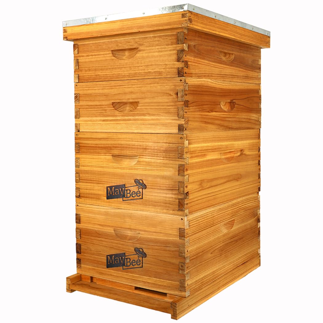 MayBee 10-Frame Langstroth Beehive Dipped in 100% Beeswax, Complete Bee Hives and Supplies Starter Kit Includes 2 Deep Hive Bee Box and 2 Bee Hive Super with Beehive Frames and Foundation MayBee