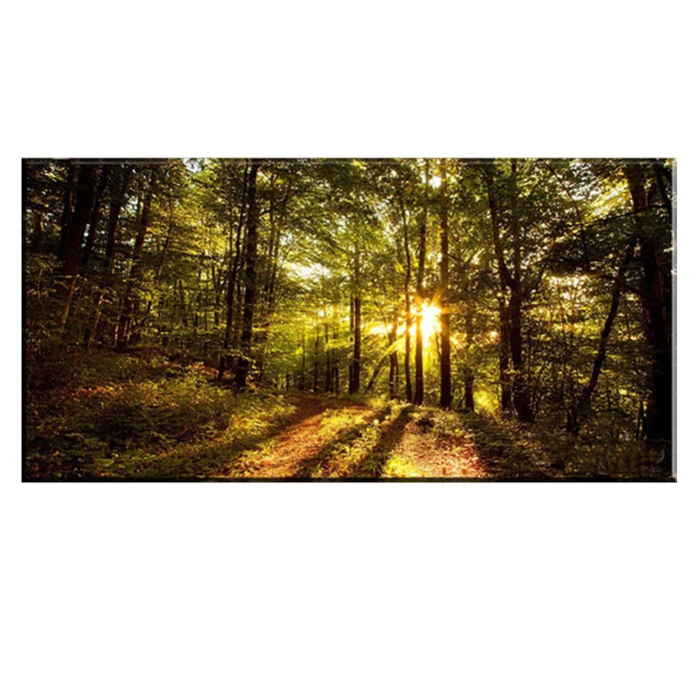 Diamond Art Kits,Diamond Painting Woods Sunshine,5d Diamond Painting Kits for Adults & Child,Cross Stitch Embroidery Diamond Art Kits,on Numbers Kit Full Diamond Painting-50x150cm/20x59inch プレステージ