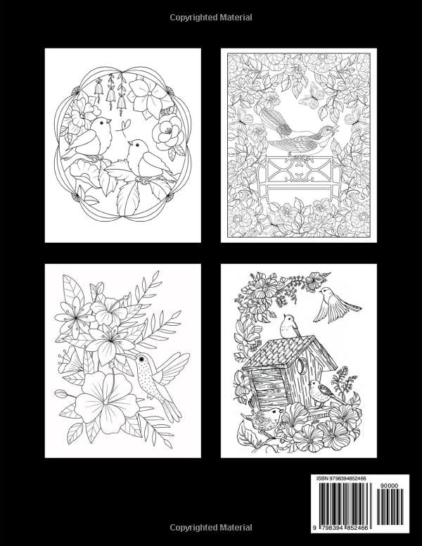 Easy Large Print Birds Coloring Book for Adults: An Bold And Easy Mindfulness, Relaxation, and Stress Relief for Bird Lovers. (Large Print Adult Coloring Books) Majosta