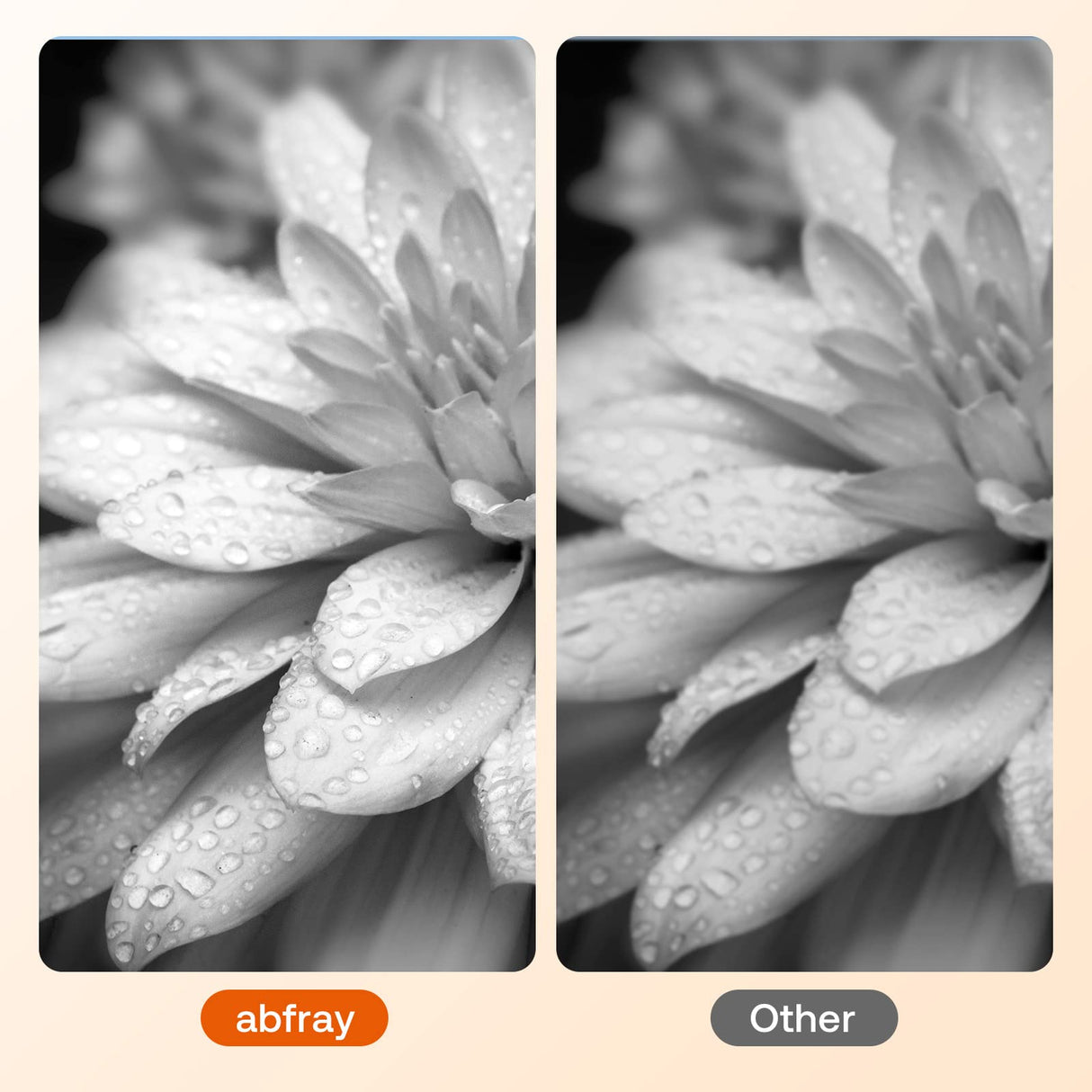 Abfray Remanufactured Ink Cartridge Replacement for Canon 245XL for PIXMA MG2420 MG2520 MG2522 MG2525 MG2920 MG2922 MG2924 MG3020 MG3022 MG3029 TR4520 TR4522 TS3120 TS202 Printer (Black 2 Pack) Abfray