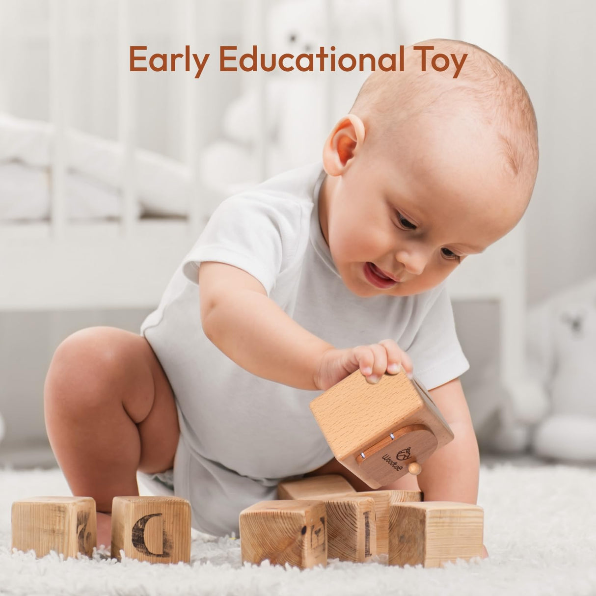 Woodtoe Montessori Coin Box for Kids, Montessori Toys for Babies 18+ Months, Natural Wood Object Permanence Toys for Baby, Toddler Educational Learning Toy, Fine Motor Skills Travel Game for Boy Girl Woodtoe