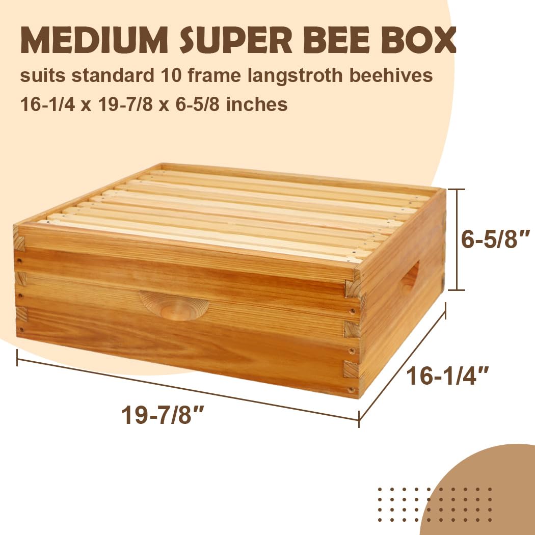 BEEINN 10 Frame Bee Hive Box, Langstroth Medium Super Bee Box Dipped in 100% Beeswax Include Beehive Frames and Waxed Foundation Sheets (Unassembled) BEEINN