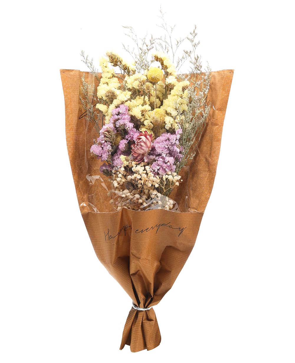 Botius 17" Natural Mixed Dried Flowers Bouquet Real Dried Lover Grass, Myosotis, Daisy, Craspedia Billy Balls Floral Arrangements for Boho Home Wedding Table Vase Décor Botius