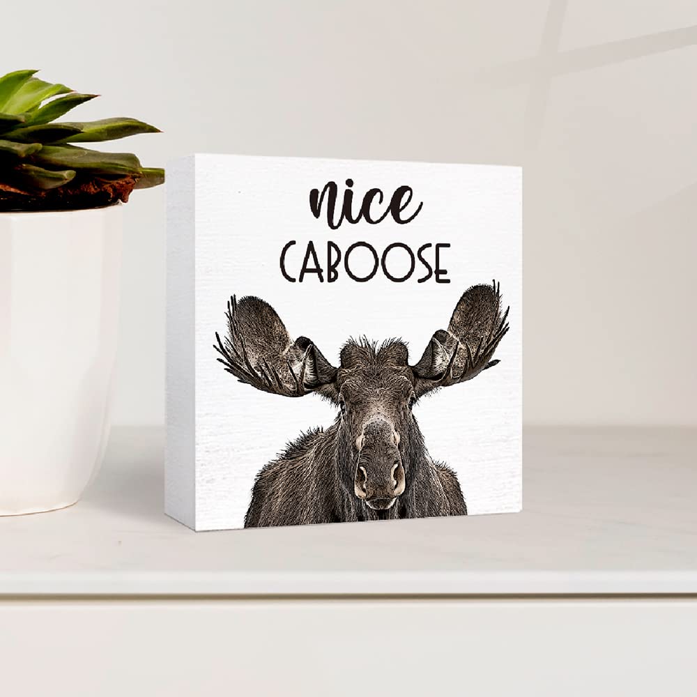 SJNH Funny Bathroom Wood Sign Nice Caboose Funny Moose Wood Block Sign for Bathroom Shelf Toilet Restroom Home Tabletop Desk Decor,Farmhouse Bathroom Wooden Box Sign SJNH