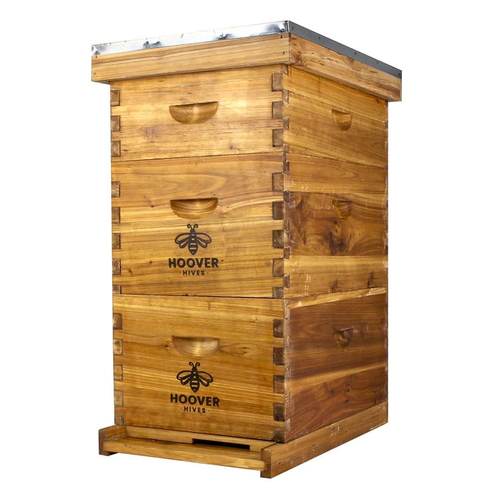 Hoover Hives 8 Frame Beehive Kit - Dipped in 100% Beeswax Includes Wooden Frames & Waxed Foundations (2 Deep Boxes, 1 Medium Box) Hoover Hives