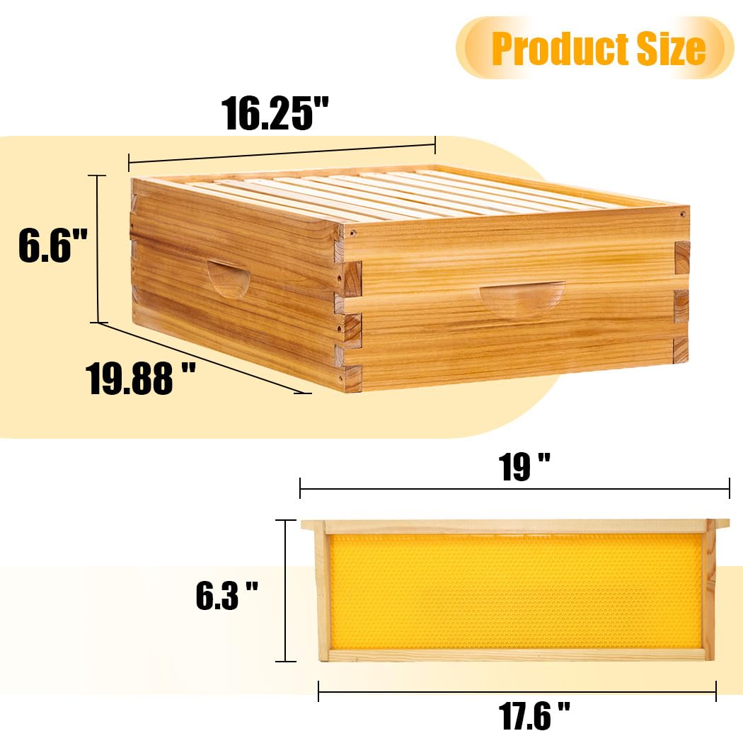 Honey Lake 10 Frame Bee Hive Starter Kit, Complete Beehive Kit for Beekeepers Dipped in 100% Beeswax Includes 1 Deep Brood Box & 1 Medium Super Bee Box with Beehive Frames and Waxed Foundation Sheet Honey Lake