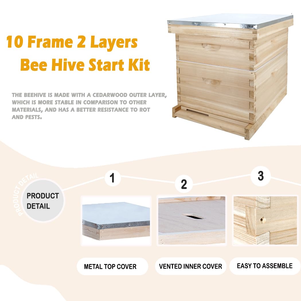 POLLIBEE Beehive 10-Frame Bee Hives and Supplies Starter Kit, Honey Bee Hives Includes 1 Deep Bee Box 1 Medium Bee Hive Box with Beehive Frames and Beeswax Coated Foundation Sheet POLLIBEE