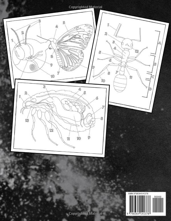 Insect Anatomy Coloring Book: Bug, Veterinary Anatomy Coloring Book, (Did You Know? Fun Facts) Majosta