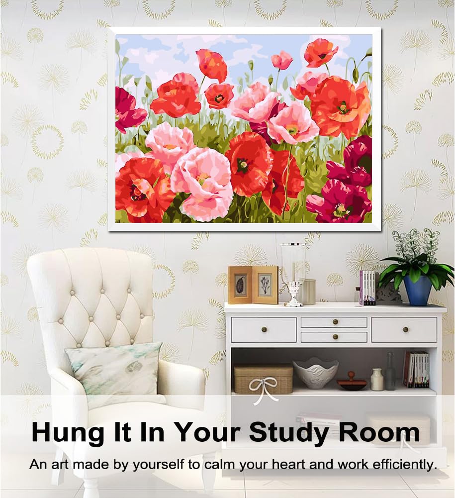 BAISITE Paint by Numbers Kit for Adults Beginners,20" Wx16 L Canvas for Painting Kits for Adults in Colorful Box Poppy Flowers-BSC001 BAISITE