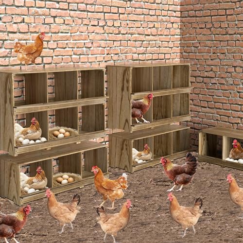 Nesting Boxes for Chickens Coop, Wooden Hens Nesting Eggs Laying Box, Chicken Nesting Boxes Wall-Mounted 6 Compartment WISDOMRAINBOW