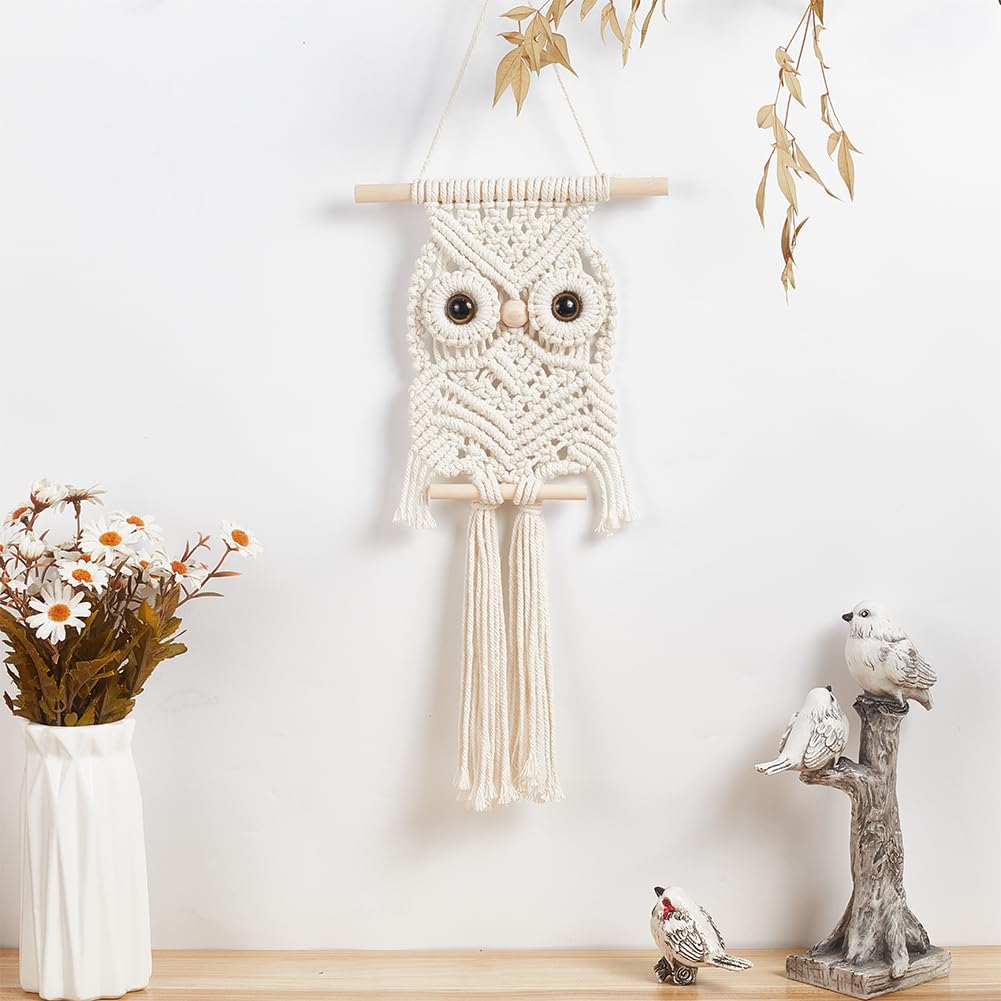 BEUNITONE Leisure Arts Macrame Kit for Beginners Owl Macrame Kit DIY Macrame Kit with Instructions Video Macrame Wall Hanging Supplies Dream Catcher Kit for Room Wall Decoration Easy to Install BEUNITONE