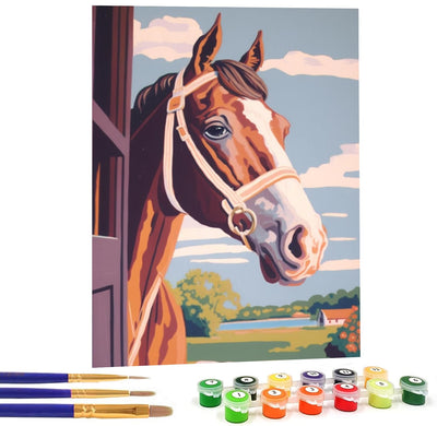 Bimkole DIY Oil painting of a horse Paint by Number Kits Animals on Canvas, Acrylic Paint Beginner Drawing Paintwork with Paintbrushes Perfect for Relaxation and Home Wall Decor Arts 16x20 inch