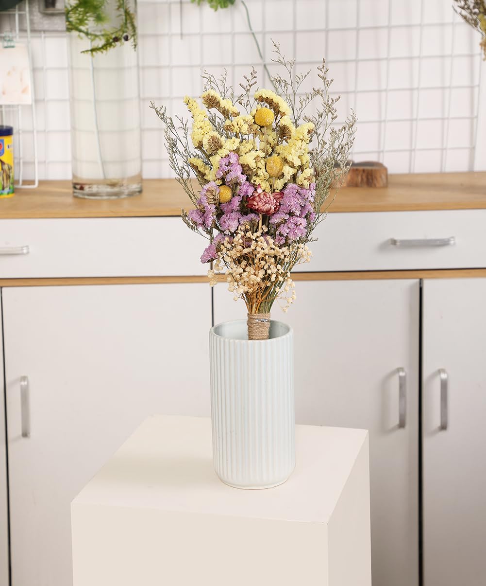Botius 17" Natural Mixed Dried Flowers Bouquet Real Dried Lover Grass, Myosotis, Daisy, Craspedia Billy Balls Floral Arrangements for Boho Home Wedding Table Vase Décor Botius