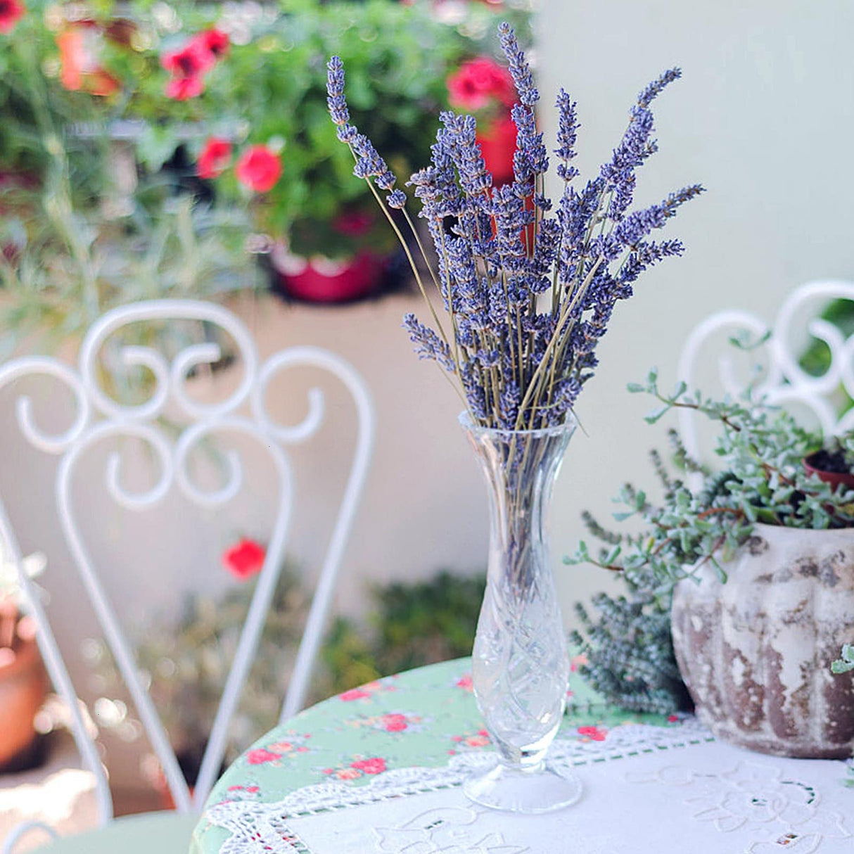 Timoo Dried Lavender Bundles 100 Natural Dried Lavender Flowers for Home Decoration, Photo Props, Home Fragrance, 2 Bundles Pack Timoo