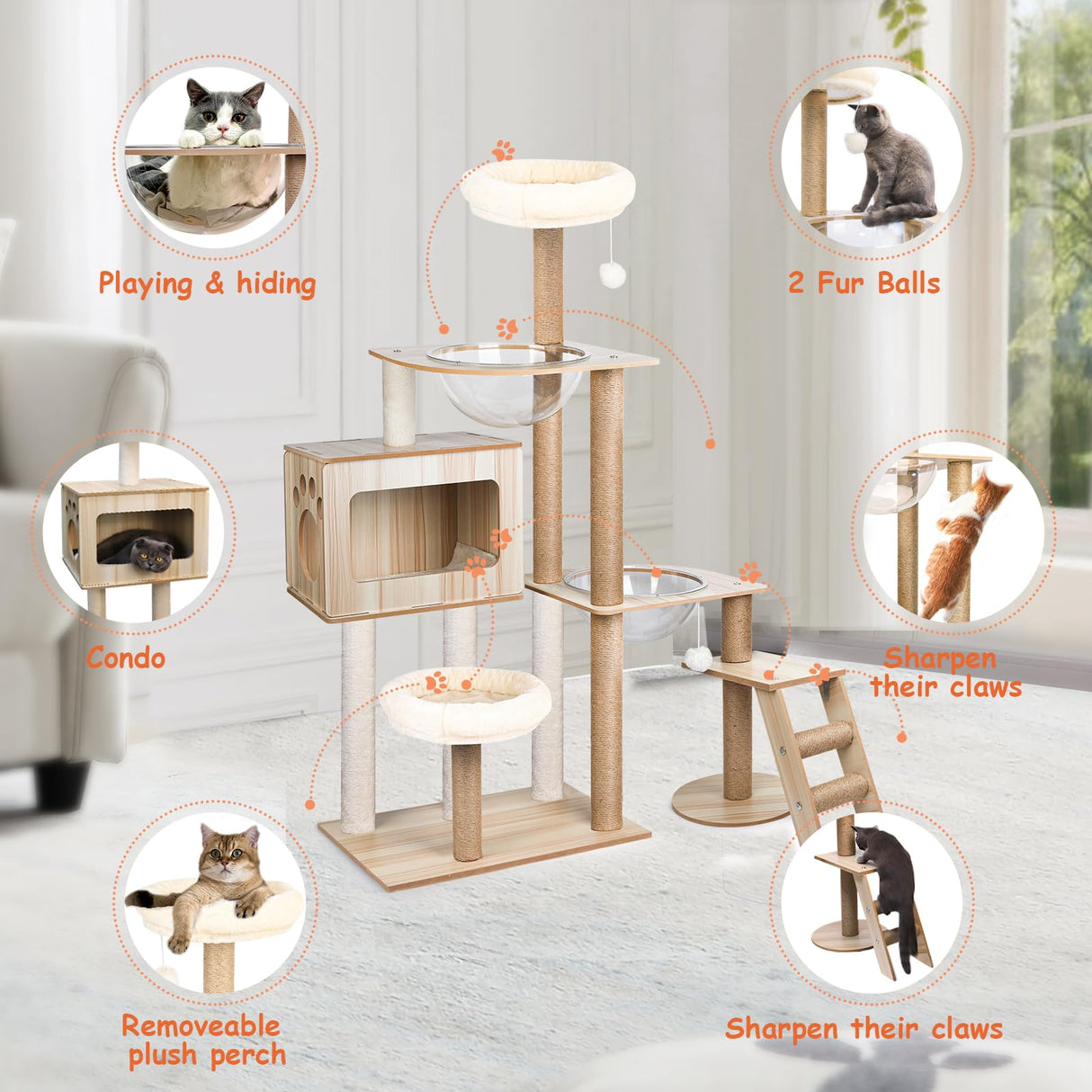 CASSAIO Cat Tree for Indoor Cats Modern Cat Tree Wood Cat Tower with Large Space Capsule Cat Condo with Sisal Scratching Post and Funny Toy Cat Furniture Activity Center 55.5 inch CASSAIO