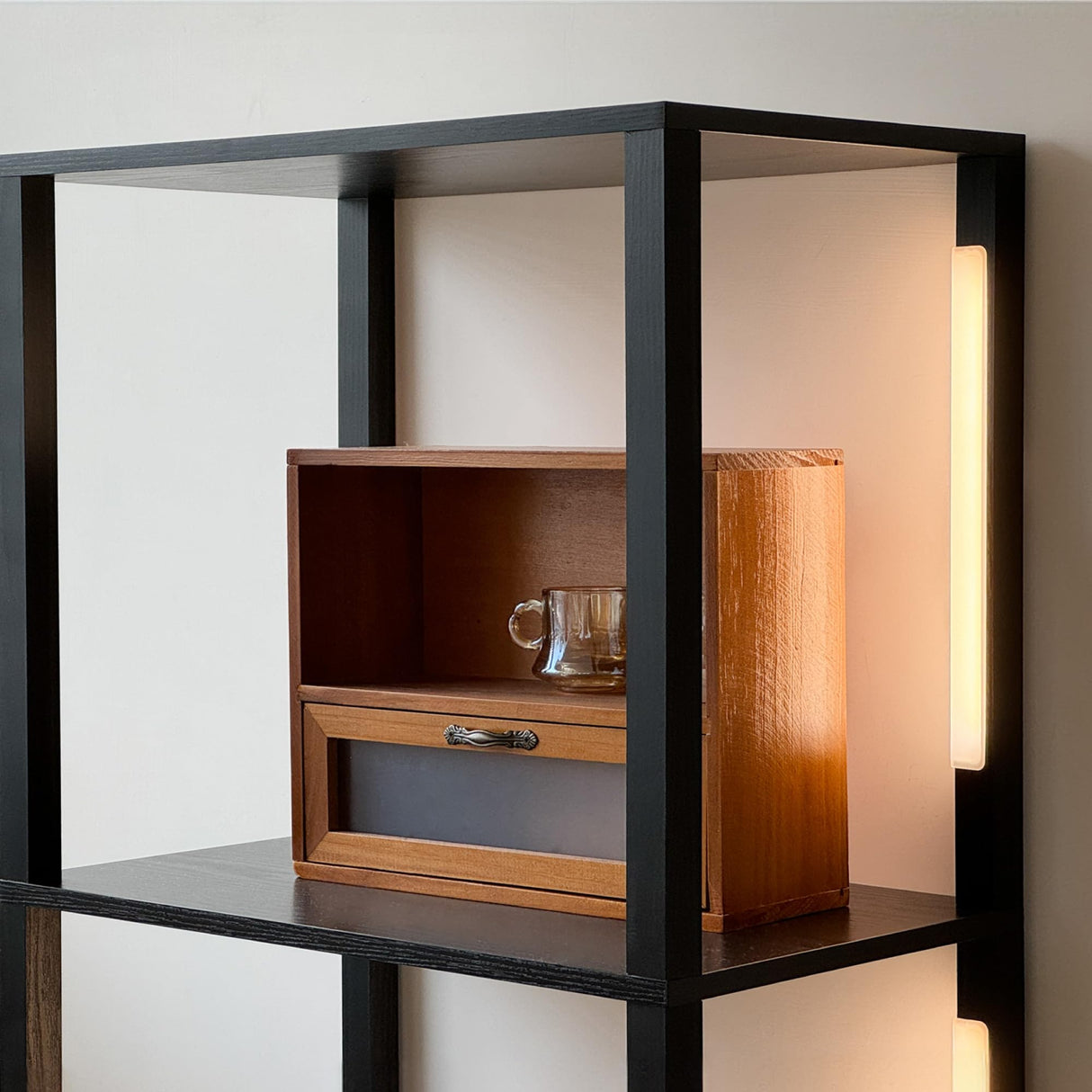 FENLO Fancy - LED Display Shelf with Dimmable Lights, LED Shelf Floor Lamps for Living Room, Sturdy Corner Shelf Curio Cabinet Display, Tall Floor Lamps with Shelves FENLO