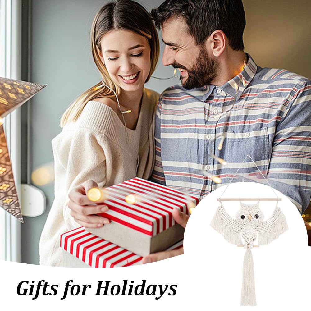 ACRNIGHEET DIY Owl Macrame Kit with Instruction - Handmade White Owl Hanging Ornament Boho Hand Woven Macrame Making Kit for Home Decor ACRNIGHEET