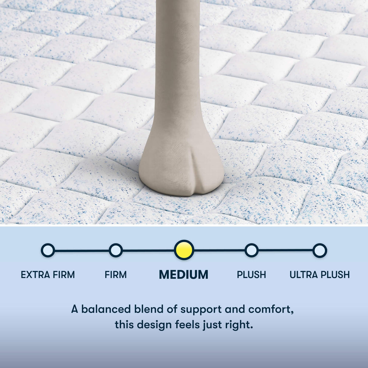 Serta Sleeptrue Medium 12" Queen Hybrid Mattress in a Box, Cooling, Breathable, and Pressure Relieving - 100 Night Trial, CertiPUR-US Certified and 10 Year Limited Warranty Serta