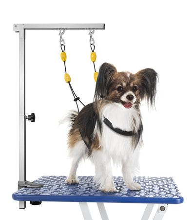 Petbobi Dog Grooming Arm with Clamp and Dual No Sit Haunch Holders, Height Adjustable 18 to 32 inches, Strong Stainless Steel Foldable Pet Grooming Table Arm Overhead for Small Pets