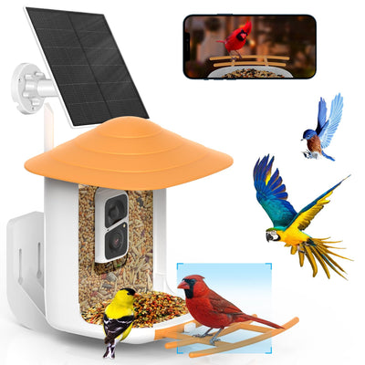 SOLIOM BF09 Bird Feeder with Camera Wireless Outdoor,Smart Bird Feeder Camera with AI Identify Bird Species,Backyard Bird Watching Gift for